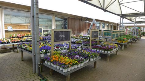 Bressingham Garden Centre Norfolk See Around Britain