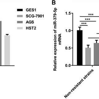 Upregulated Linc Expression And Downregulated Mir P