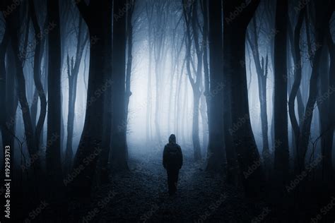 mysterious figure in dark fantasy forest at night Stock Photo | Adobe Stock