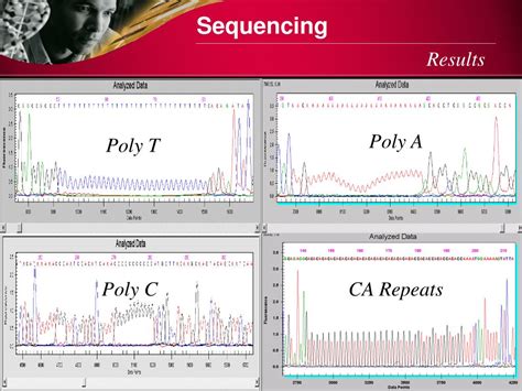 Ppt Capillary Gel Electrophoresis Cge Powerpoint Presentation Free Download Id2624443