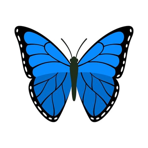 Mariposa con hermosas alas azules ornamentales ilustración vectorial