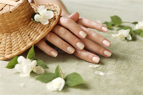 Light Beige Manicure On Short Nails Stock Photo Image Of Hands