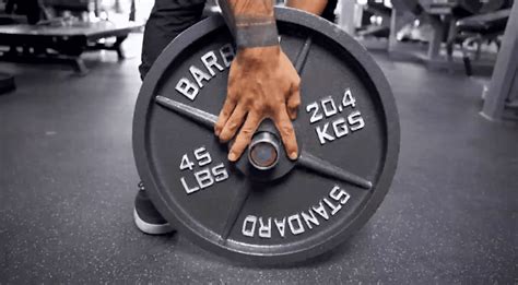 The 8 Best Cheap Weight Plates For Your Home Gym 2023 2023