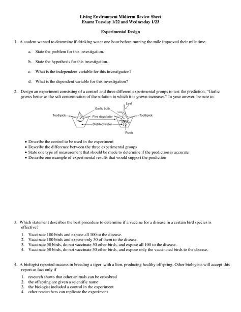 Photosynthesis Worksheet Answer Key