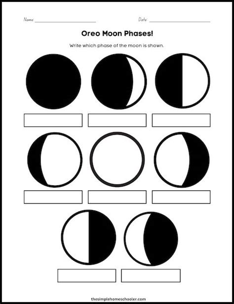 Tasty Oreo Phases Of The Moon Worksheet With Answer Key Free