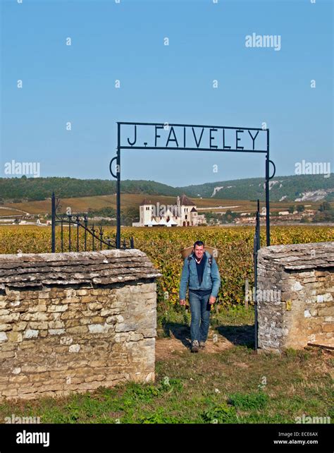 Wall Enclosed Vineyard Hi Res Stock Photography And Images Alamy