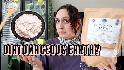 Using Diatomaceous Earth On Houseplants Youtube