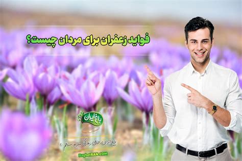 فواید زعفران برای مردان چیست 10 خاصیت مهم زعفران برای مردان باغ ایران