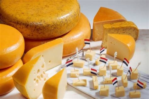 Dutch Cheese – An introduction to the most popular varieties – Gourmand ...