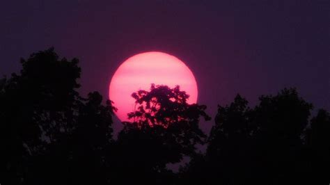 Smoky skies continue over West Michigan: Here's when it should clear up