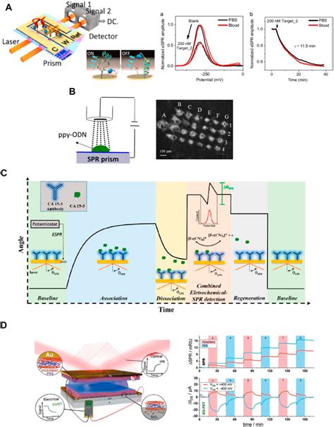 Frontiers Can Classical Surface Plasmon Resonance Advance Via The