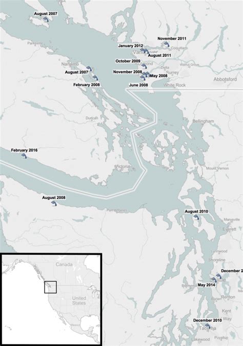 The Floating Feet Bcit Forensic Dna Lab