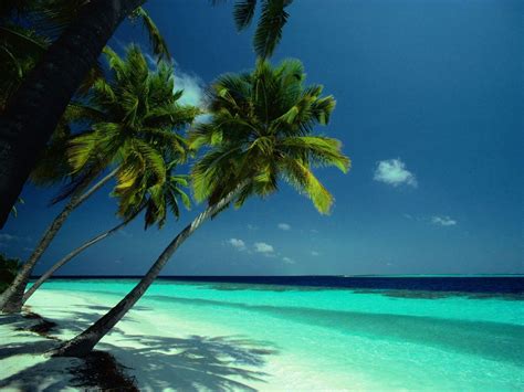 Belize Desktop Wallpapers - Top Free Belize Desktop Backgrounds ...