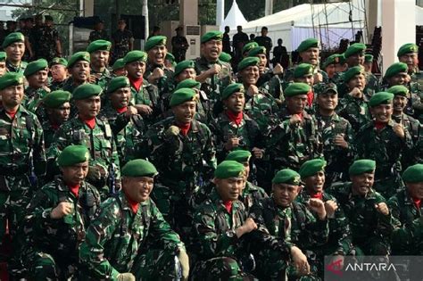 TNI Bentuk Yonif Penyangga Daerah Rawan Di Papua Bakal Sasar Wilayah