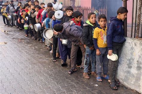 Toda La Población De Gaza Se Enfrenta Al Riesgo De Hambruna Informe