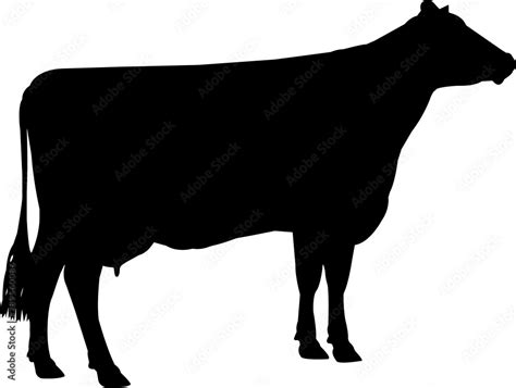 Brown Swiss Cow Vector Silhouette Stock Vector | Adobe Stock