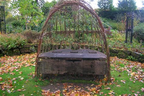 Plant A Living Willow Structure Thrive