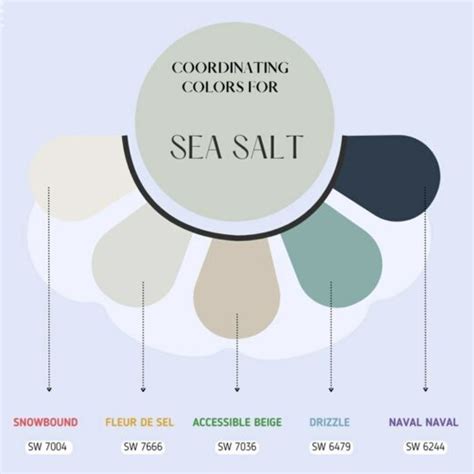 Sherwin Williams Sea Salt Palette Coordinating Inspirations