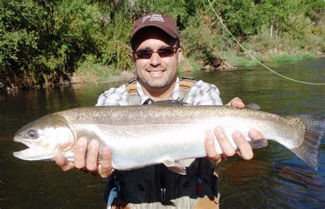 Waterdale Ranch Kirks Flyshop