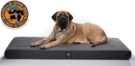 Extra-Large Dog Beds for Sale | Large Chew-Proof Dog Beds