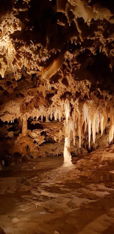 Grotte Du Grand Roc Les Eyzies De Tayac 2019 Ce Qu Il Faut Savoir Pour Votre Visite