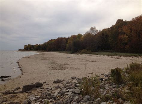 Beach View with Woods at Harrington Beach State Park, Wisconsin image - Free stock photo ...