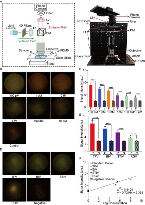 Detection Of Fv3 With Rpa Crisprcas12a Spm A Schematic Of Spm For