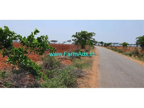 Farm Land For Sale Total 40 Acre Near Honnali Honnali Davangere