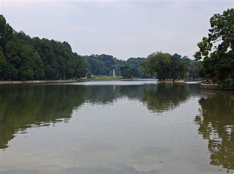 Jalan Jalan Ke Hutan Penelitian Dramaga Dan Cifor