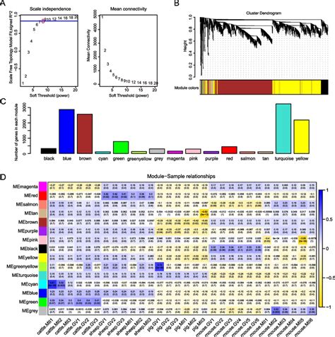 Weighted gene co-expression network analysis (WGCNA) of interspecies ... 