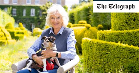 Camilla’s dogs become ‘Girls in Pearls’ for Country Life feature – businessnews-nigeria.com