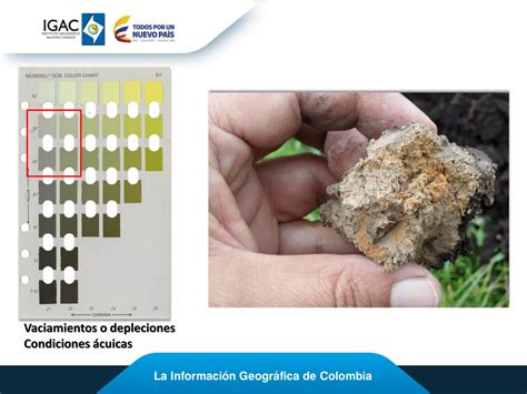 La Tabla Munsell Conceptos Y Aplicaciones Ppt