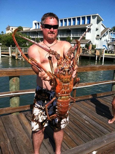 22 Lobster Fishing ideas | lobster fishing, lobster, saltwater fishing