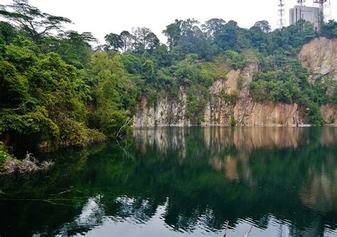 Nature Parks In Singapore Condominiums Near 7 Popular Green Spaces To