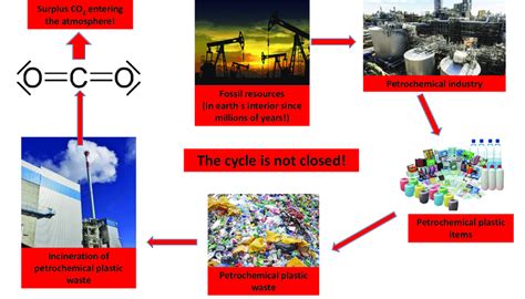 Carbon Cycle During Production Life Span And Degradation Of