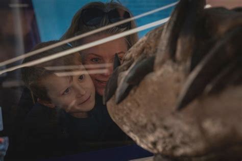 Pliosaur Discovery Dorset Fossil Attracts Record Visitors To Museum