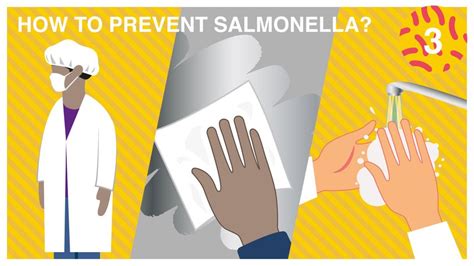 SALMONELLA - Pal International