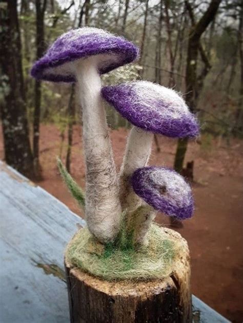 Two Purple Mushrooms Sitting On Top Of A Tree Stump