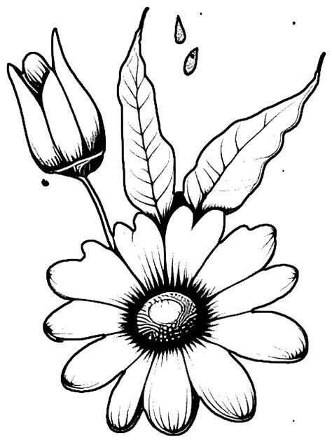 Fall Flowers Coloring Page · Creative Fabrica