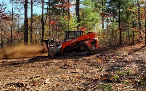 Everything You Need To Know About Forestry Mulching Mulching