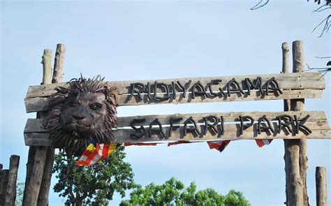 Ridiyagama Safari Park Unveiling Sri Lankas Wildlife Wonderland