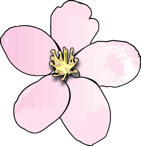 Michigan State Flower - ClipArt Best