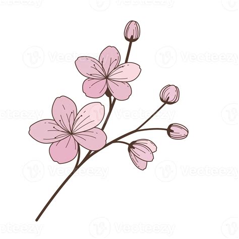 Desenho De Flor Em Estilo De Contorno Preenchido 10264183 PNG