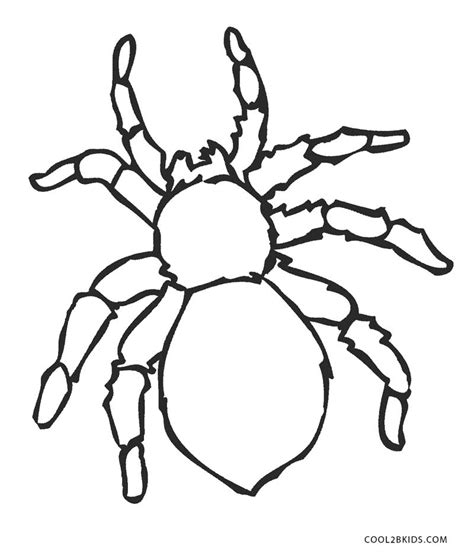 Spider Print Out Sheet