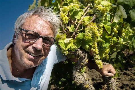 castellucci miano winery man  war imports vineyards