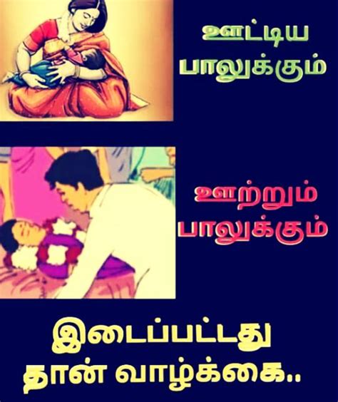 🌹🎄இனிய புத்தாண்டு நல்வாழ்த்துக்கள்🎄🌹 • Sharechat Photos And Videos