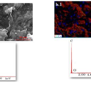 Elemental Mapping A 1 B 1 Surface Morphology A 2 B 2 And EDX