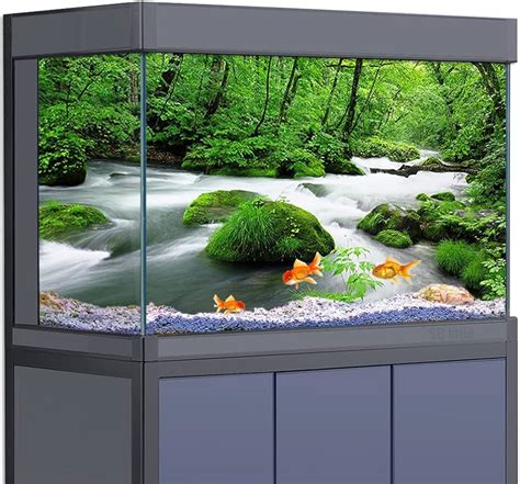 Freshwater Aquarium Landscaping