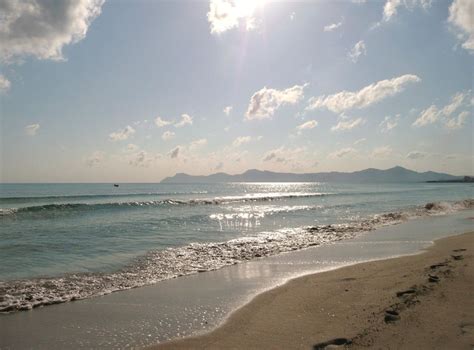 Can Picafort Beach Long Sandy Beach In The Bay Of Alcudia