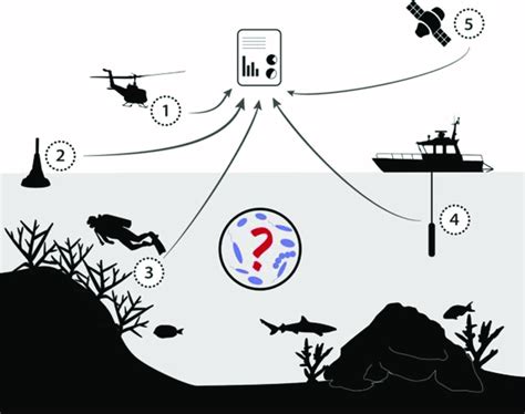 1 Implemented Management Strategies Under Australias Reef 2050